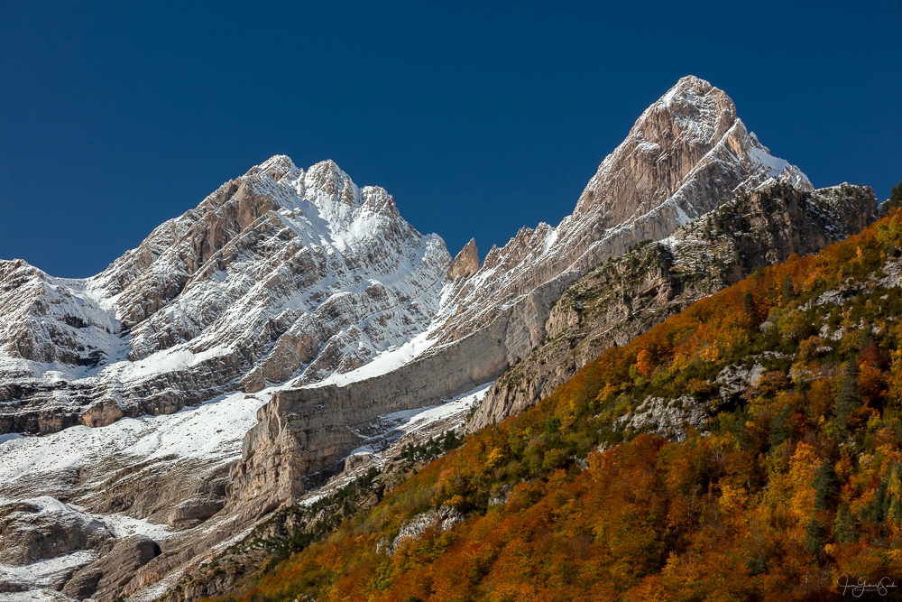 Stage photo Automne Naturavista