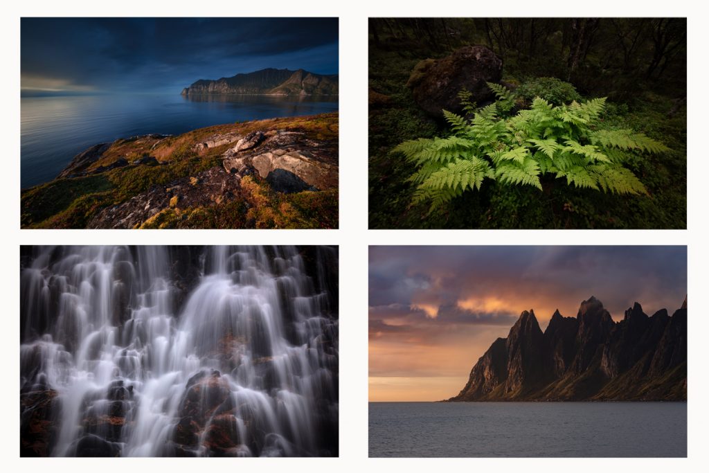 Senja photo Tour NaturaVista