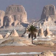 Voyage photo Désert Blanc Egypte
