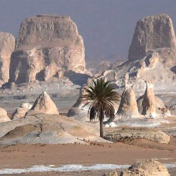 Voyage photo Désert Blanc Egypte