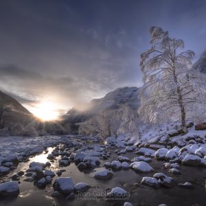naturavista.com