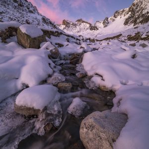 Stage photo Hiver NaturaVista