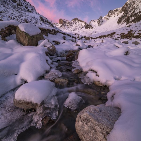 Stage photo Hiver NaturaVista